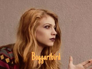 Boggartbird