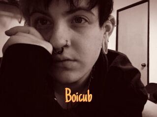 Boicub