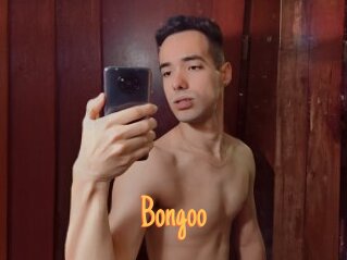 Bongoo