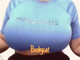 Boobycat