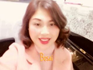 Bosai