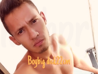 Boybig_dick22cm