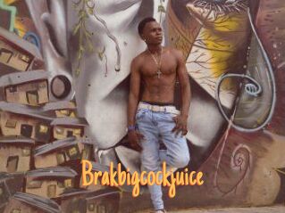 Brakbigcockjuice
