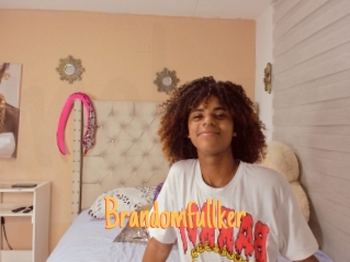 Brandomfullker