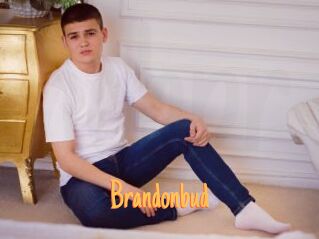 Brandonbud