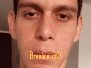 Brandonsex01