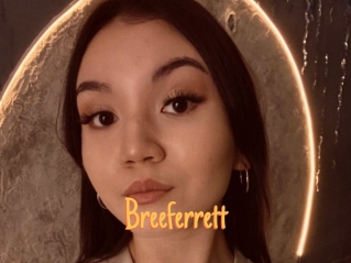 Breeferrett