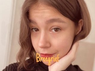 Breegrief
