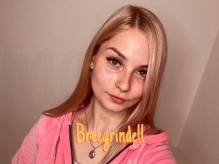 Breegrindell