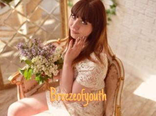 Breezeofyouth