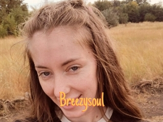 Breezysoul