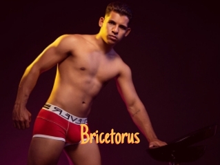 Bricetorus