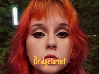 Bridgetarnet