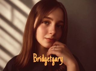 Bridgetgary