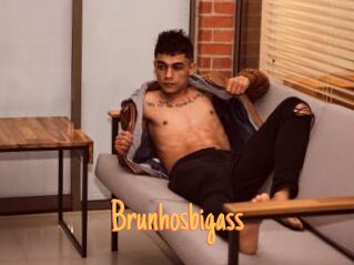 Brunhosbigass