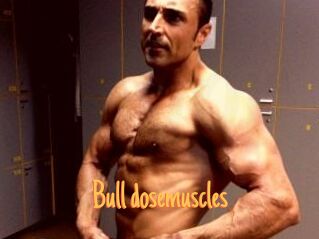 Bull_dosemuscles