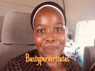 Bustyperverttatas
