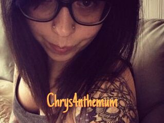 Chrys4nthemum