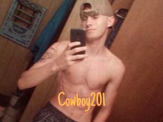 Cowboy201