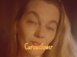 Curiousflower