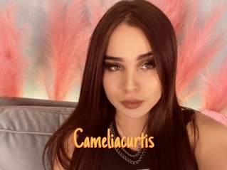 Cameliacurtis