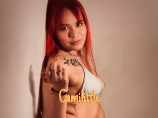 Camilittle