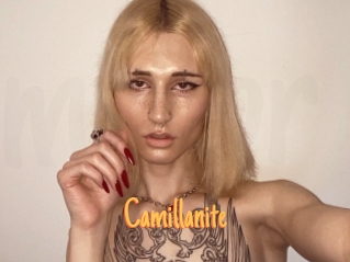 Camillanite