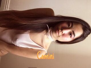 Camini