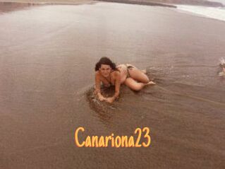 Canariona23