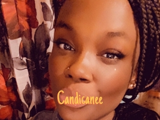 Candicanee