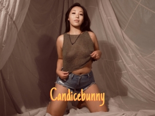 Candicebunny
