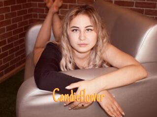 Candieflower