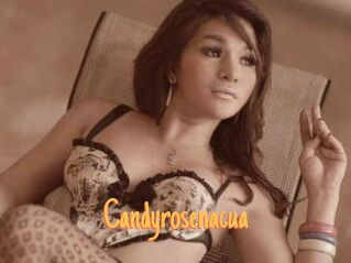 Candyrosenacua