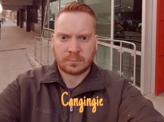 Cangingie