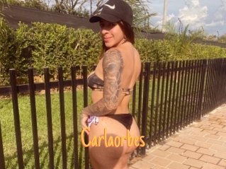 Carlaorbes