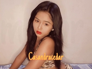 Casandracedar
