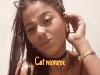 Cat_monroe