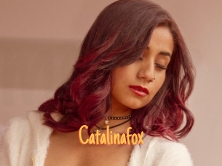 Catalinafox