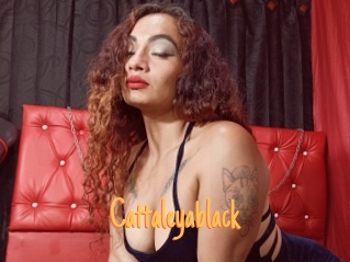 Cattaleyablack
