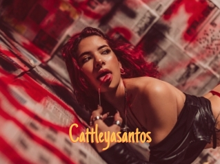 cattleyasantos Mobile Porno