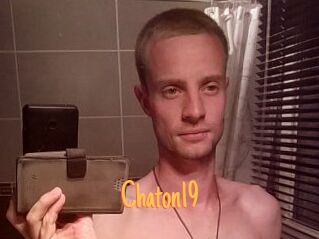 Chaton19