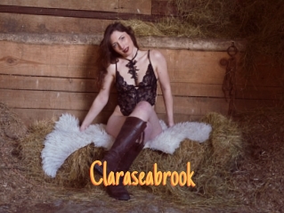 claraseabrook Mobile Porno