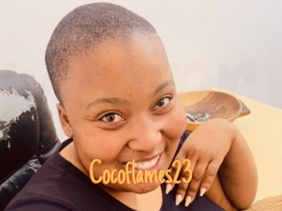Cocoflames23
