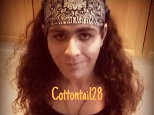 Cottontail28