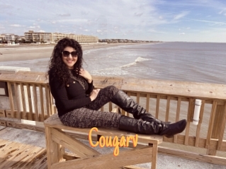 Cougarv