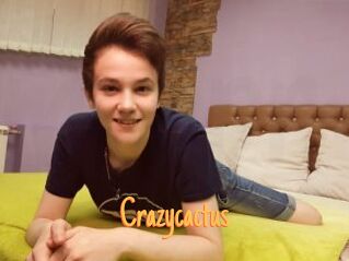 Crazycactus