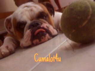 Cumalot4u