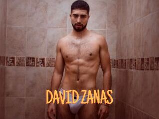 DAVID_ZANAS