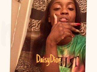 DaisyDior