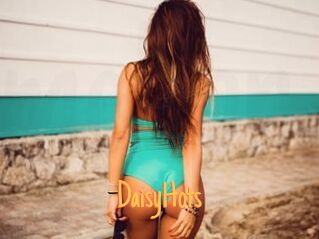 DaisyHots